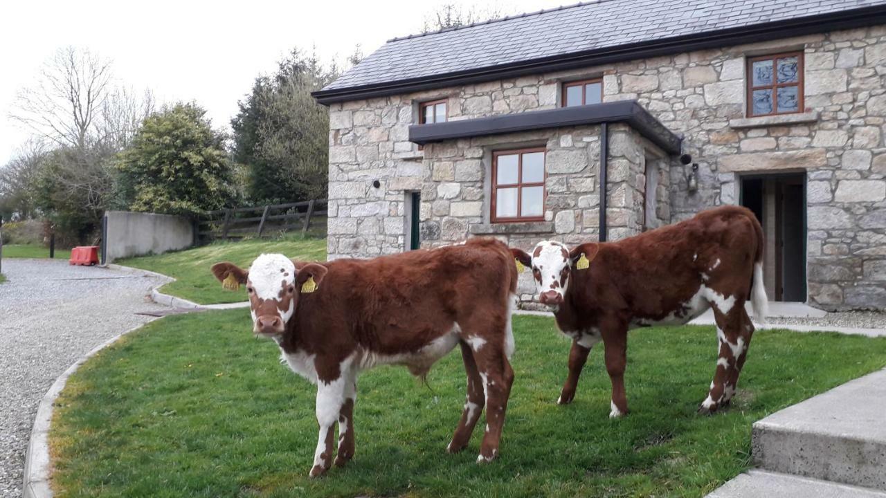 Green Adventure Ecohostel Clonmore Extérieur photo